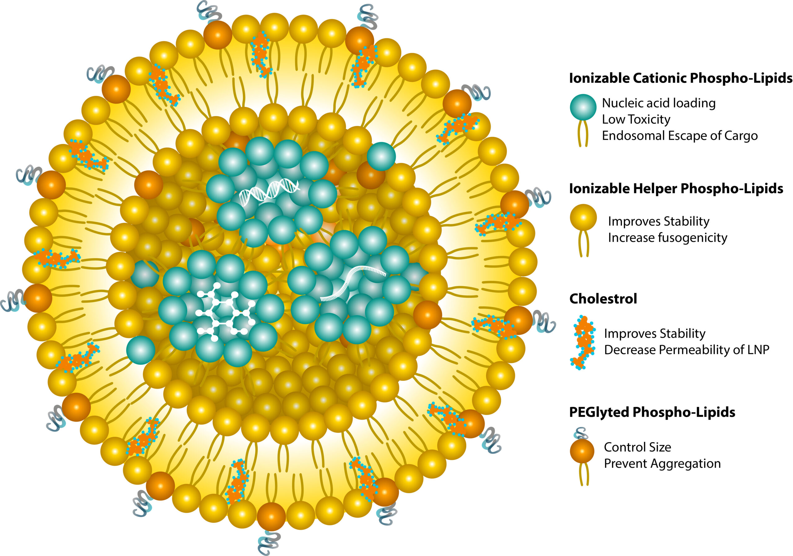 Lipid Nanoparticles